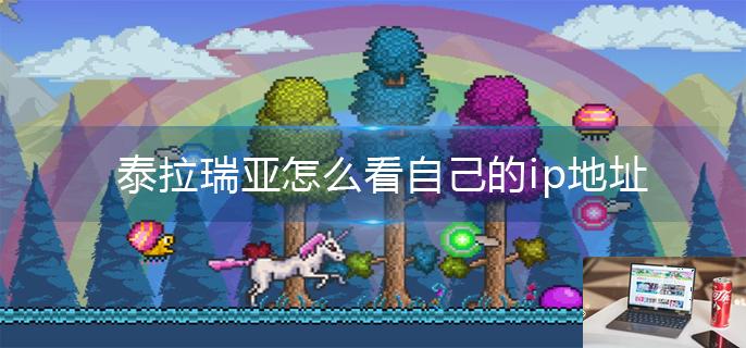 泰拉瑞亚怎么看自己的ip地址-第1张图片-零力游戏日记