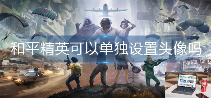 和平精英可以单独设置头像吗-第1张图片-零力游戏日记