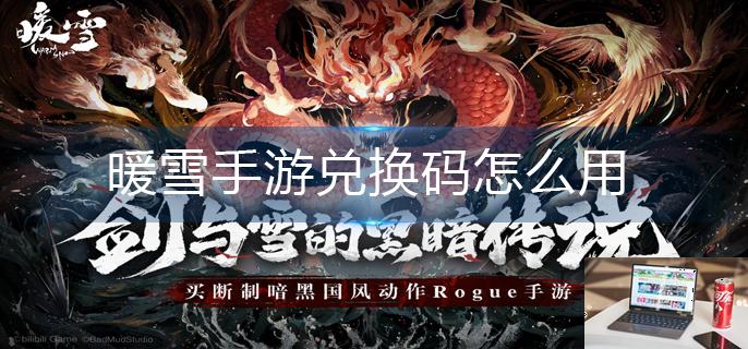 暖雪手游兑换码怎么用-第1张图片-零力游戏日记