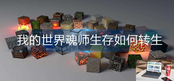 我的世界魂师生存如何转生-第1张图片-零力游戏日记