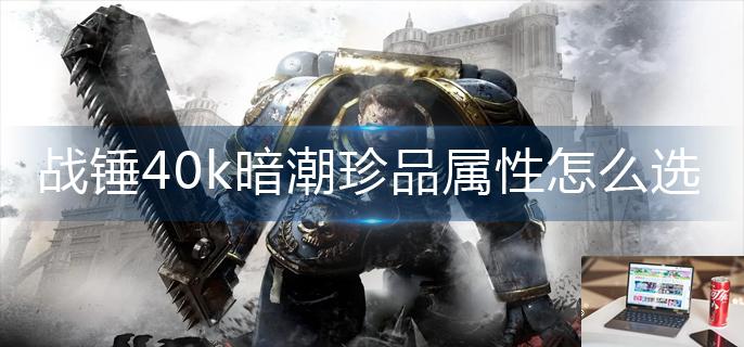 战锤40k暗潮珍品属性怎么选-第1张图片-零力游戏日记