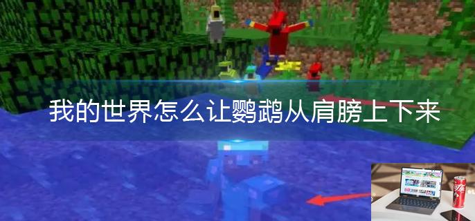 我的世界怎么让鹦鹉从肩膀上下来-第1张图片-零力游戏日记