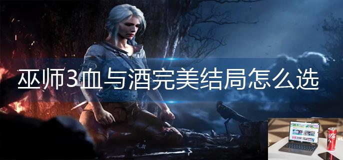 巫师3血与酒完美结局怎么选-第1张图片-零力游戏日记