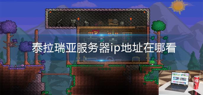 泰拉瑞亚服务器ip地址在哪看-第1张图片-零力游戏日记