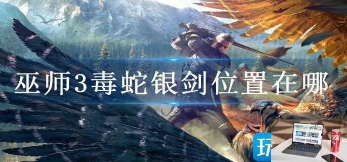 巫师3毒蛇银剑位置在哪-第1张图片-零力游戏日记