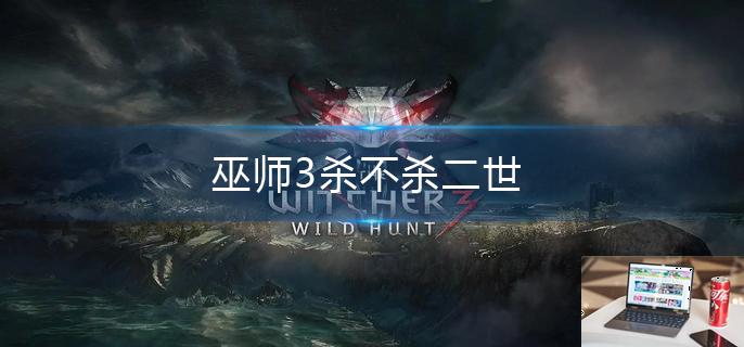 巫师3杀不杀二世-第1张图片-零力游戏日记