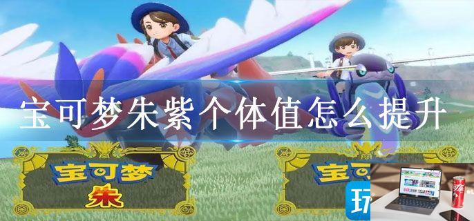 宝可梦朱紫个体值怎么提升-第1张图片-零力游戏日记
