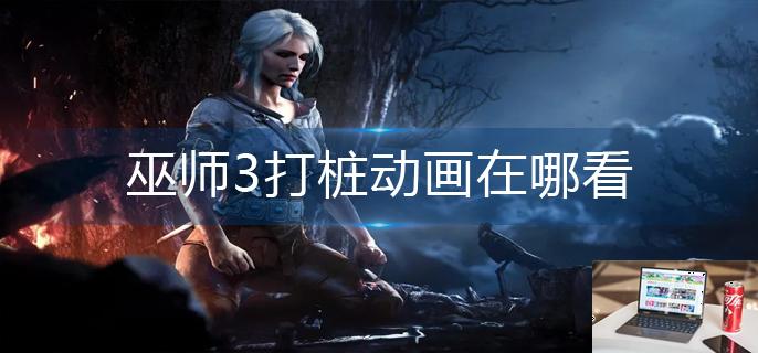 巫师3打桩动画在哪看-第1张图片-零力游戏日记