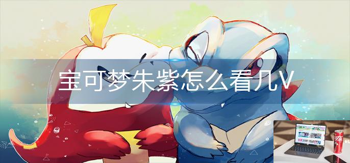 宝可梦朱紫怎么看几V-第1张图片-零力游戏日记