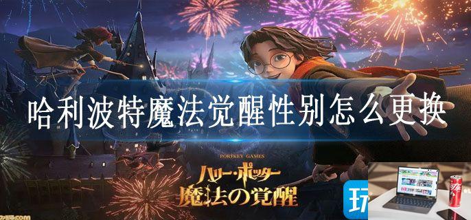 哈利波特魔法觉醒性别怎么更换-第1张图片-零力游戏日记