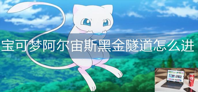 宝可梦阿尔宙斯黑金隧道怎么进去-第1张图片-零力游戏日记