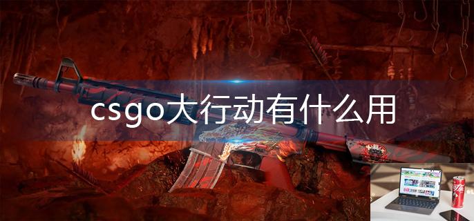csgo大行动有什么用-第1张图片-零力游戏日记