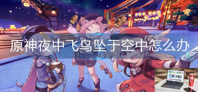 原神夜中飞鸟坠于空中怎么办-第1张图片-零力游戏日记