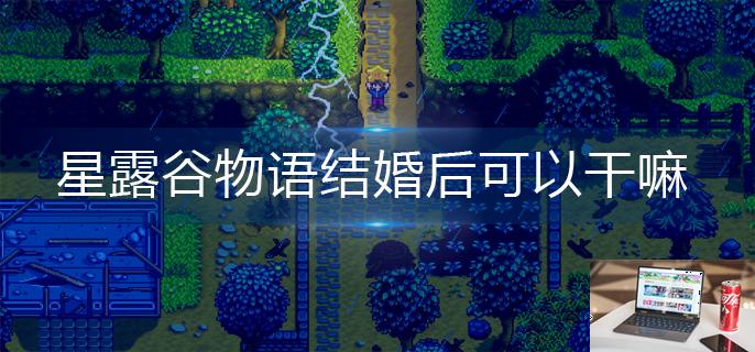 星露谷物语结婚后可以干嘛-第1张图片-零力游戏日记
