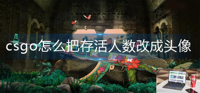 csgo怎么把存活人数改成头像-第1张图片-零力游戏日记