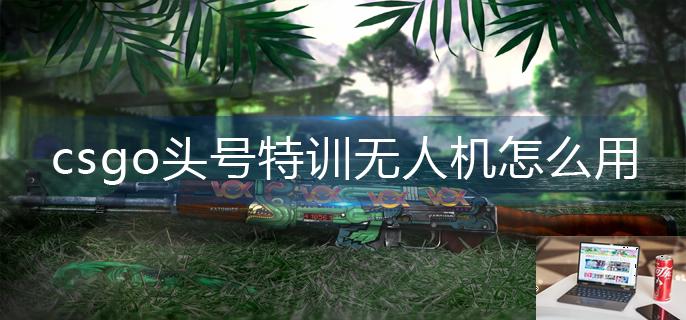 csgo头号特训无人机怎么用-第1张图片-零力游戏日记