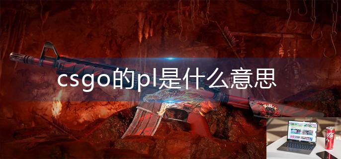 csgo的pl是什么意思-第1张图片-零力游戏日记