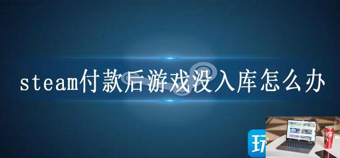 steam付款后游戏没入库怎么办-第1张图片-零力游戏日记
