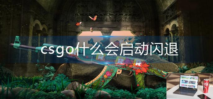 csgo什么会启动闪退-第1张图片-零力游戏日记