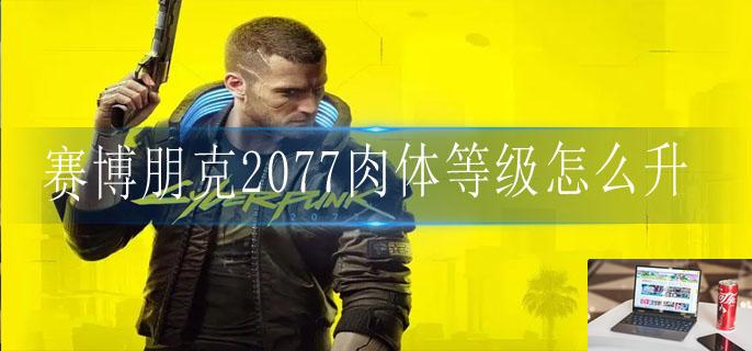 赛博朋克2077肉体等级怎么升-第1张图片-零力游戏日记