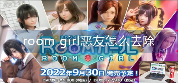 room girl恶友怎么去除-第1张图片-零力游戏日记