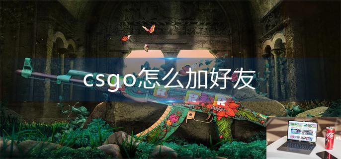 csgo怎么加好友-第1张图片-零力游戏日记