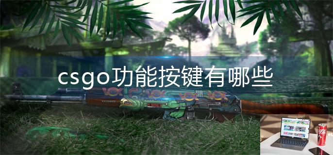 csgo功能按键有哪些-第1张图片-零力游戏日记