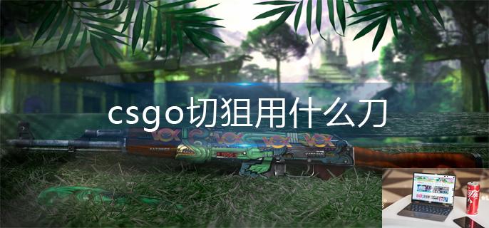 csgo切狙用什么刀-第1张图片-零力游戏日记