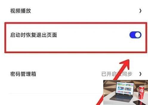夸克浏览器启动时恢复退出页面怎么设置-夸克浏览器启动时恢复退出页面设置方法-第4张图片-零力游戏日记