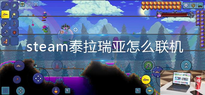 steam泰拉瑞亚怎么联机-第1张图片-零力游戏日记