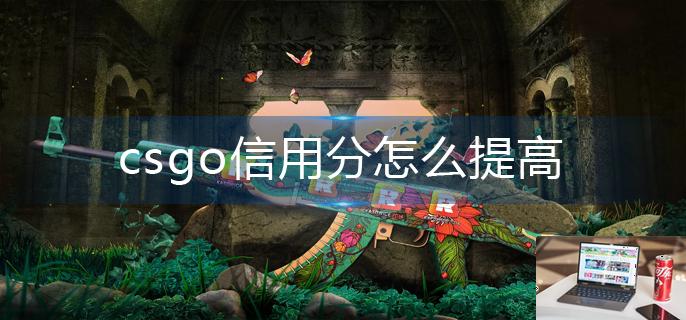 csgo信用分怎么提高-第1张图片-零力游戏日记