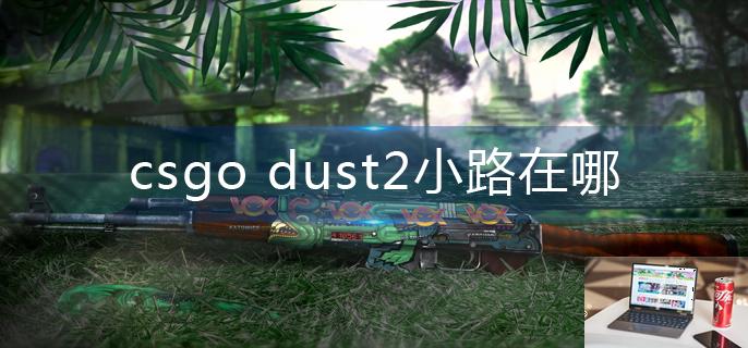 csgo dust2小路在哪-第1张图片-零力游戏日记