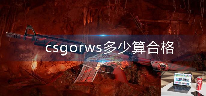 csgorws多少算合格-第1张图片-零力游戏日记