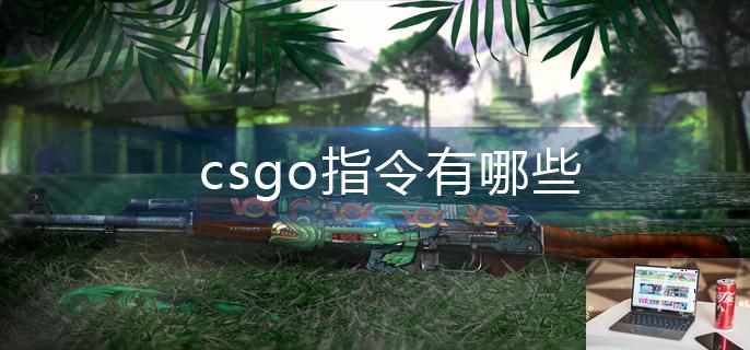 csgo指令有哪些-第1张图片-零力游戏日记