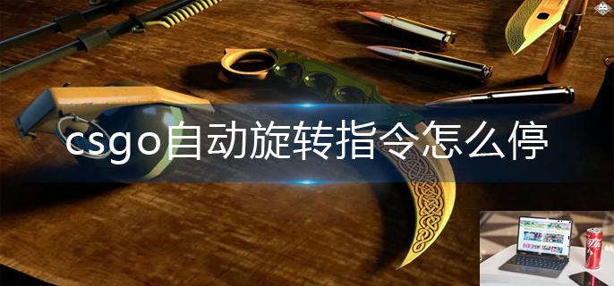 csgo自动旋转指令怎么停-第1张图片-零力游戏日记