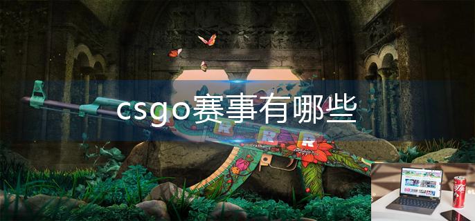 csgo赛事有哪些-第1张图片-零力游戏日记