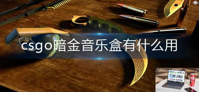 csgo暗金音乐盒有什么用-第1张图片-零力游戏日记